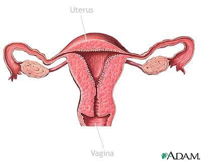 Cancer de uter